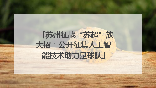 苏州征战“苏超”放大招：公开征集人工智能技术助力足球队
